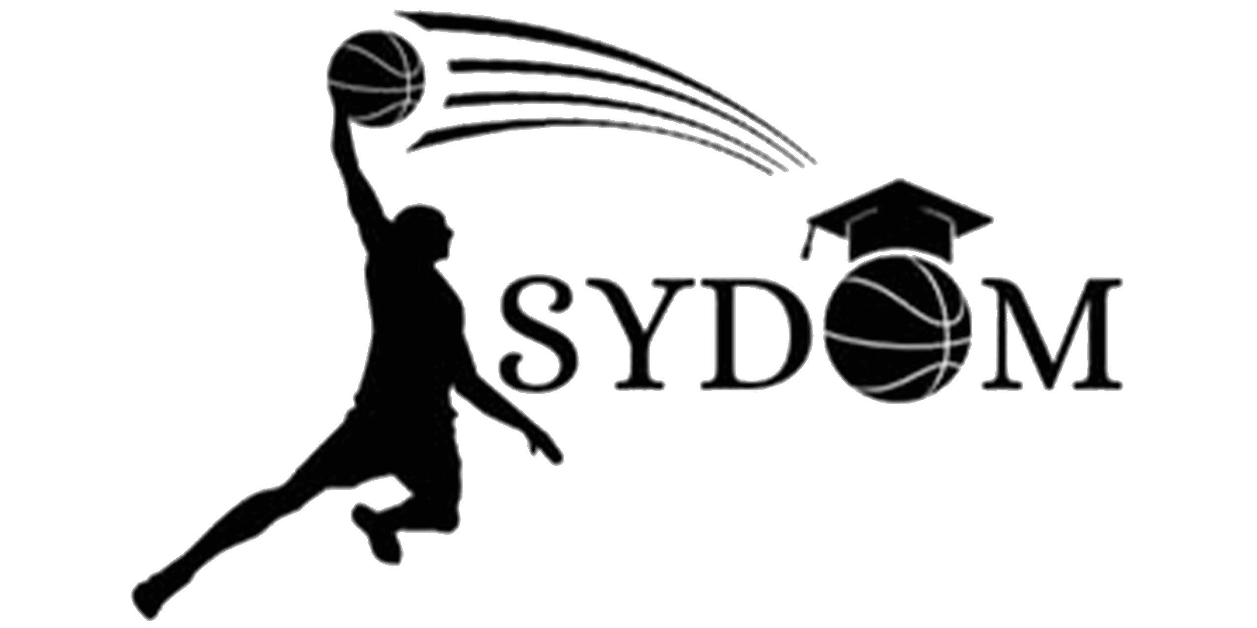 SYDOM (Somali Youth Development of Minnesota)
